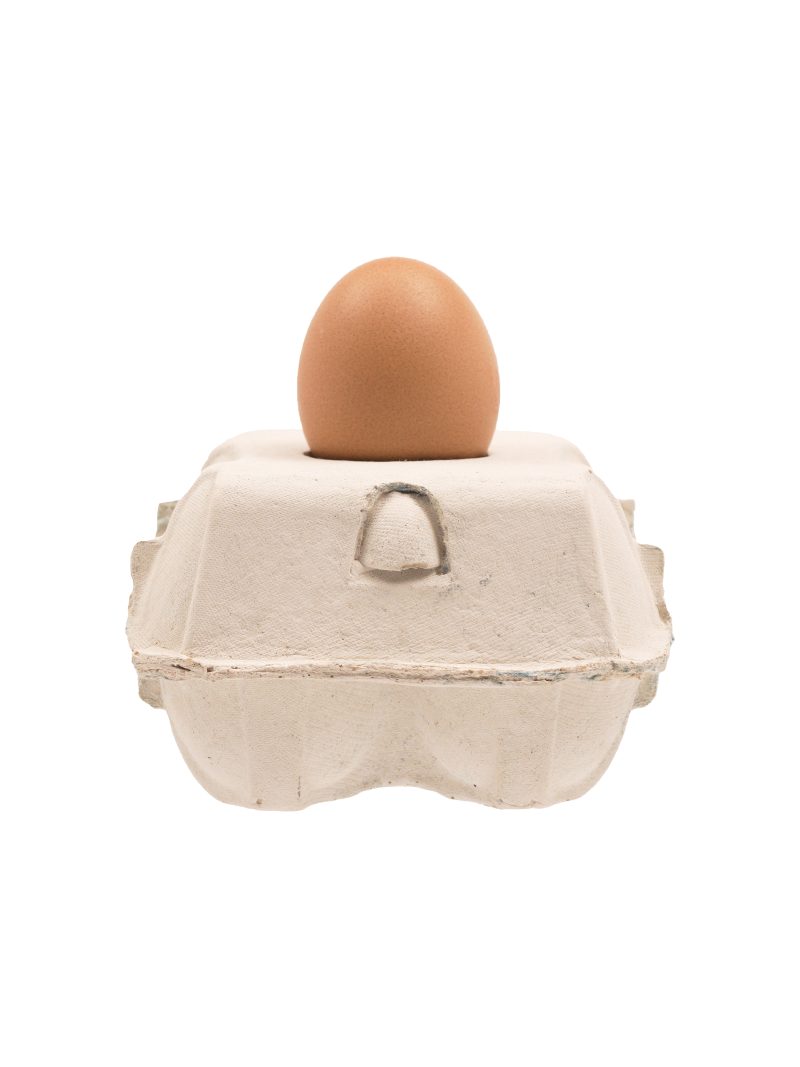 EggboxLAMP Classic