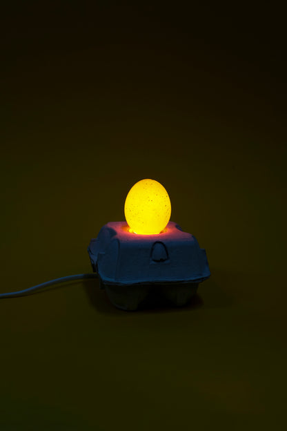 EggboxLAMP