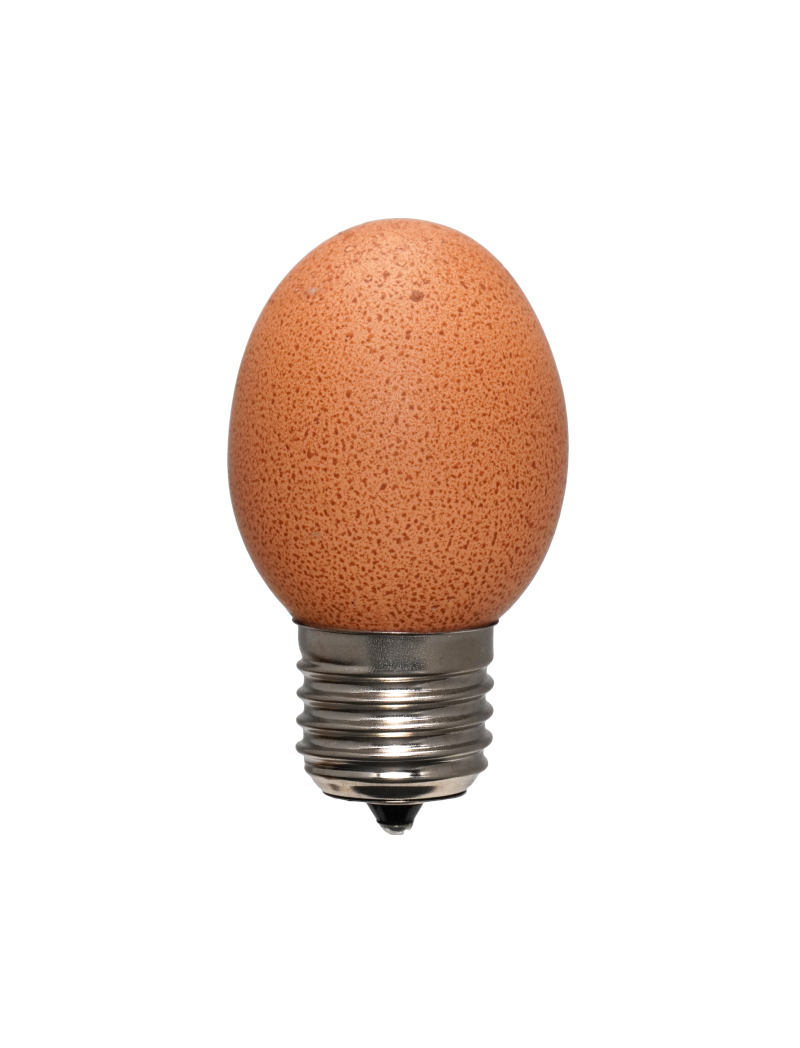 Egglamp Brown