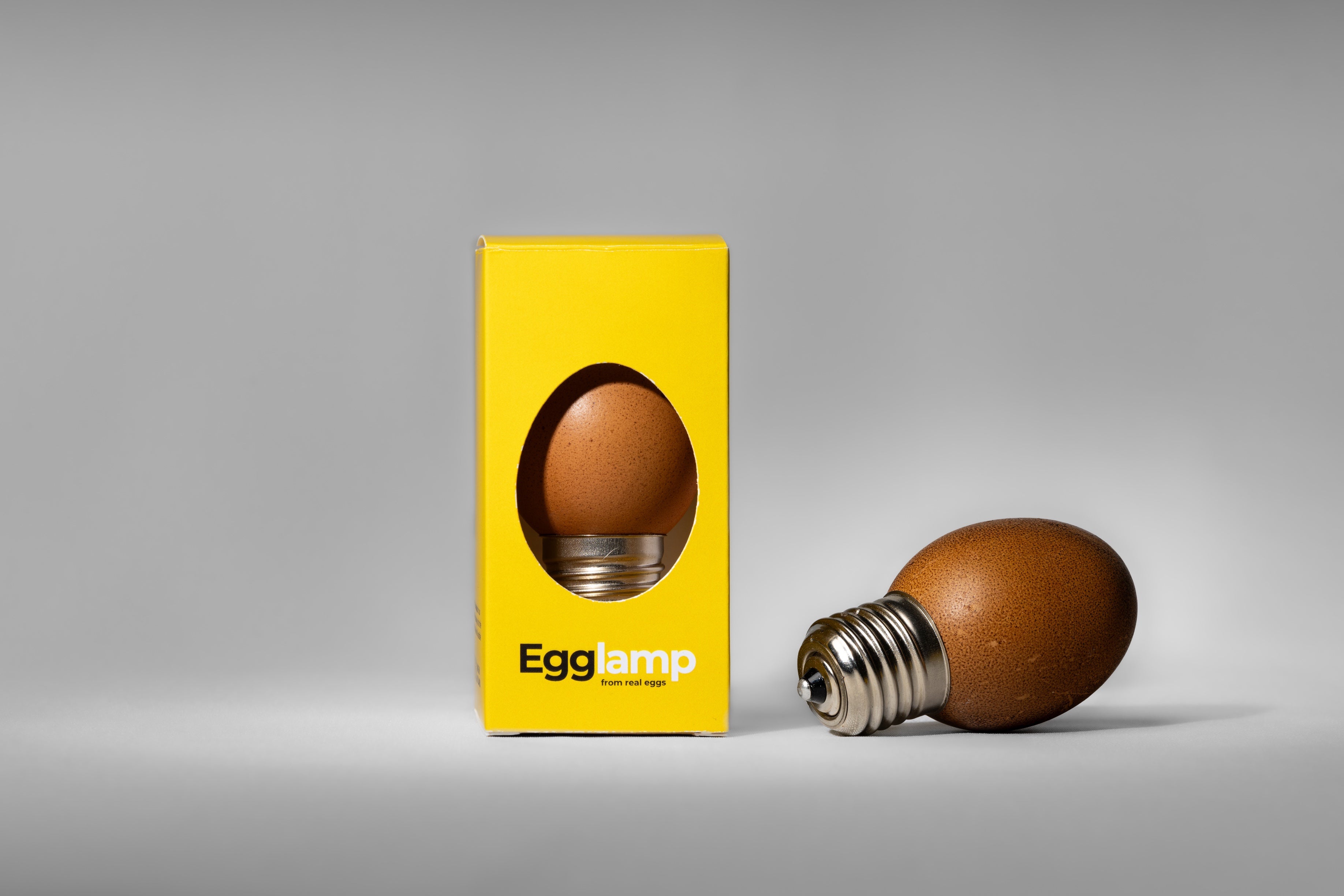 Egglamp 6pack Brown