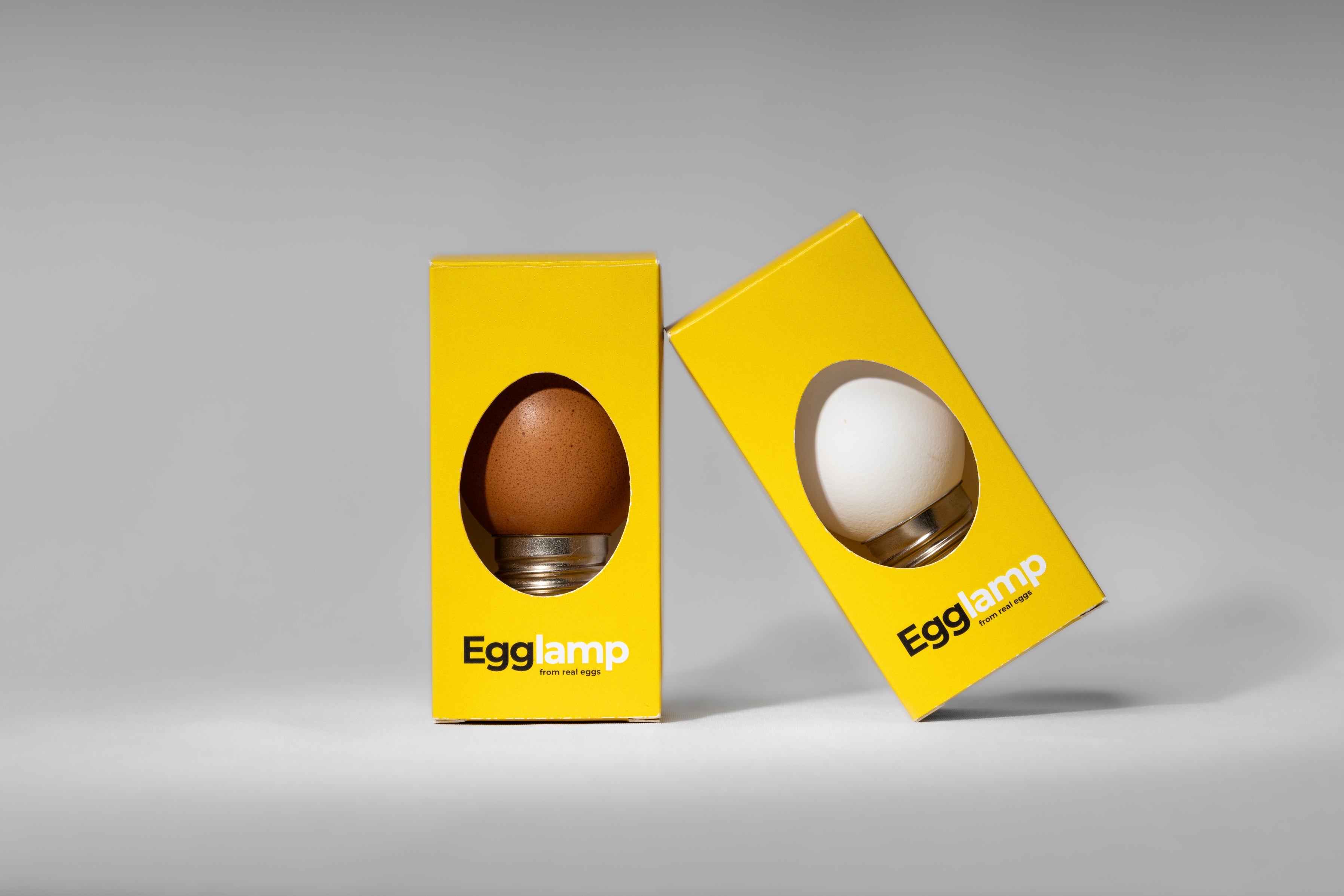 Egglamp Set