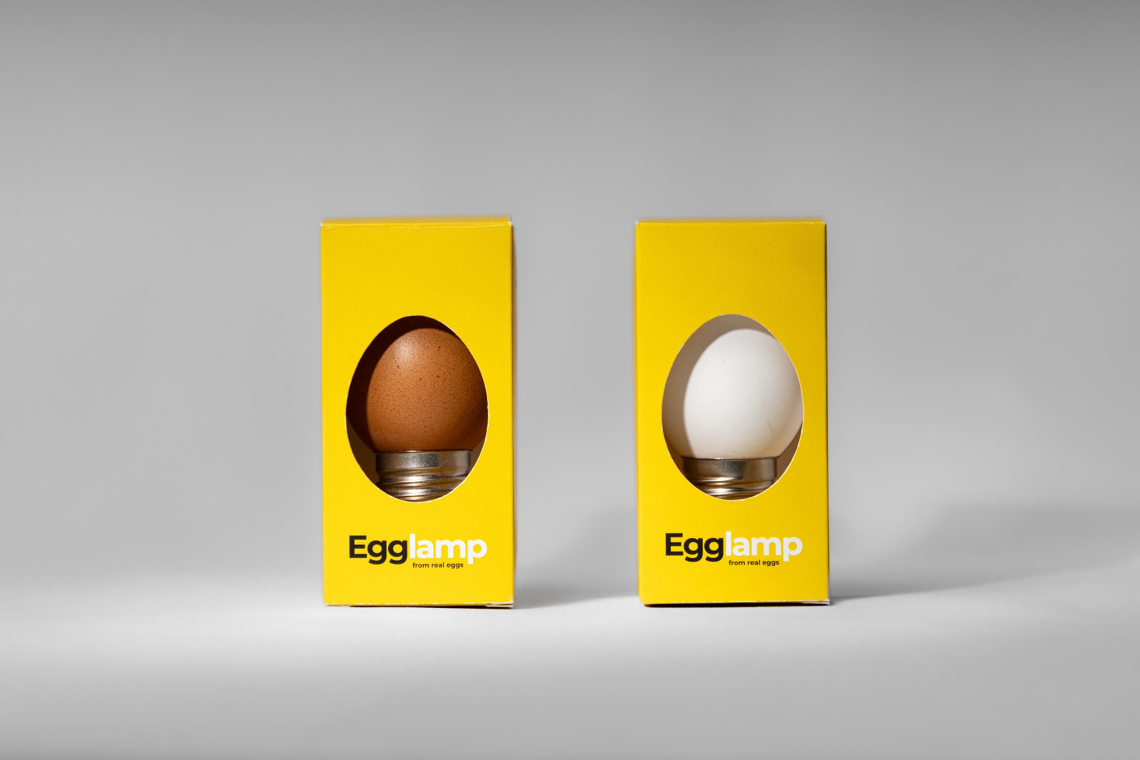Egglamp Set