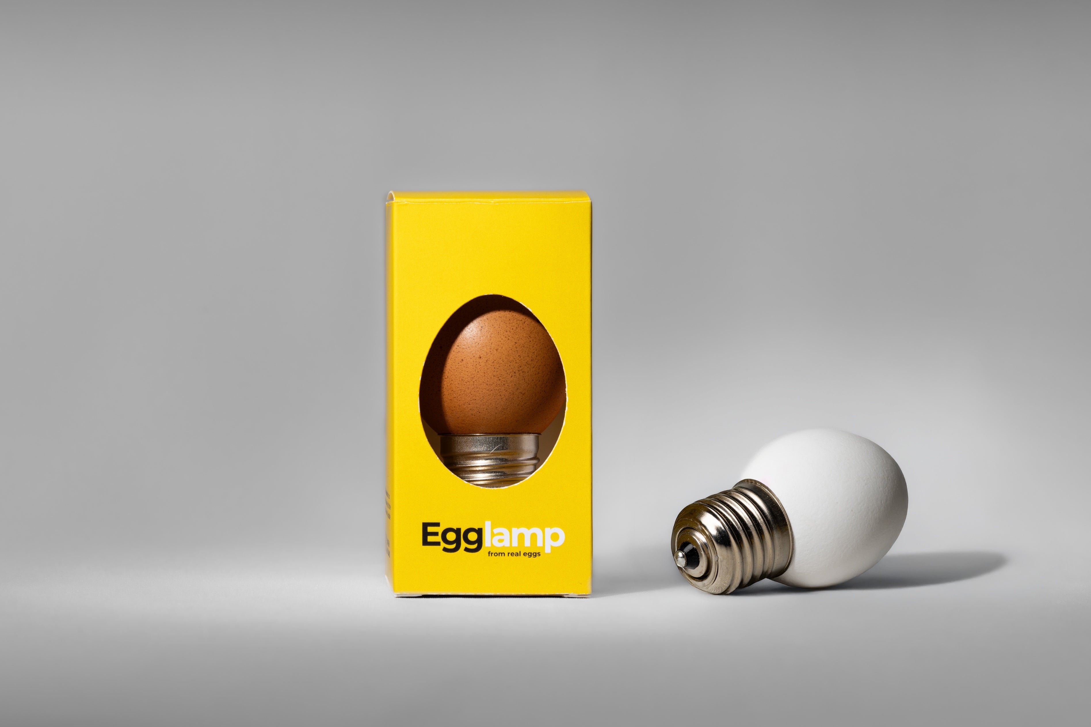 Egglamp Set