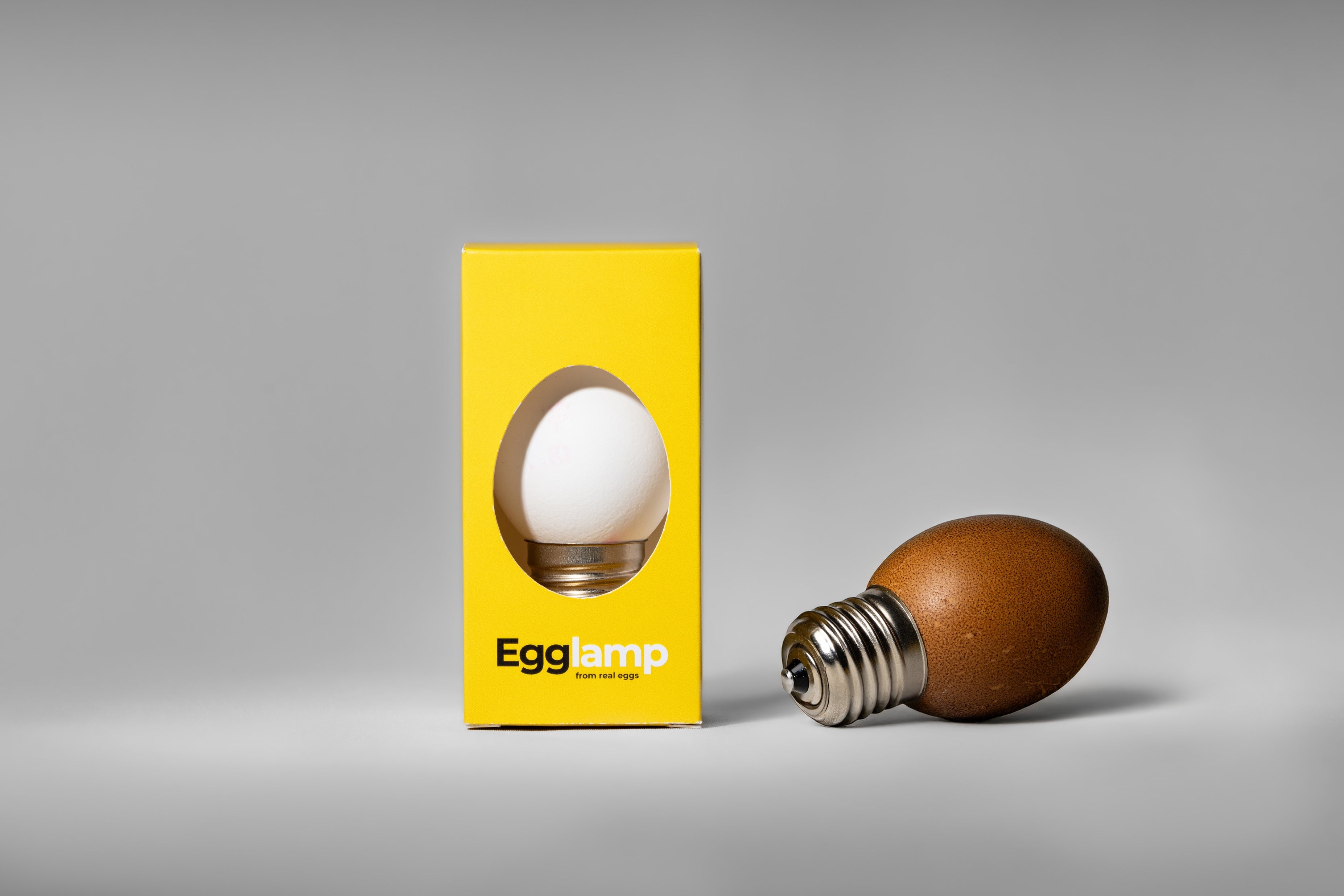 Egglamp Set