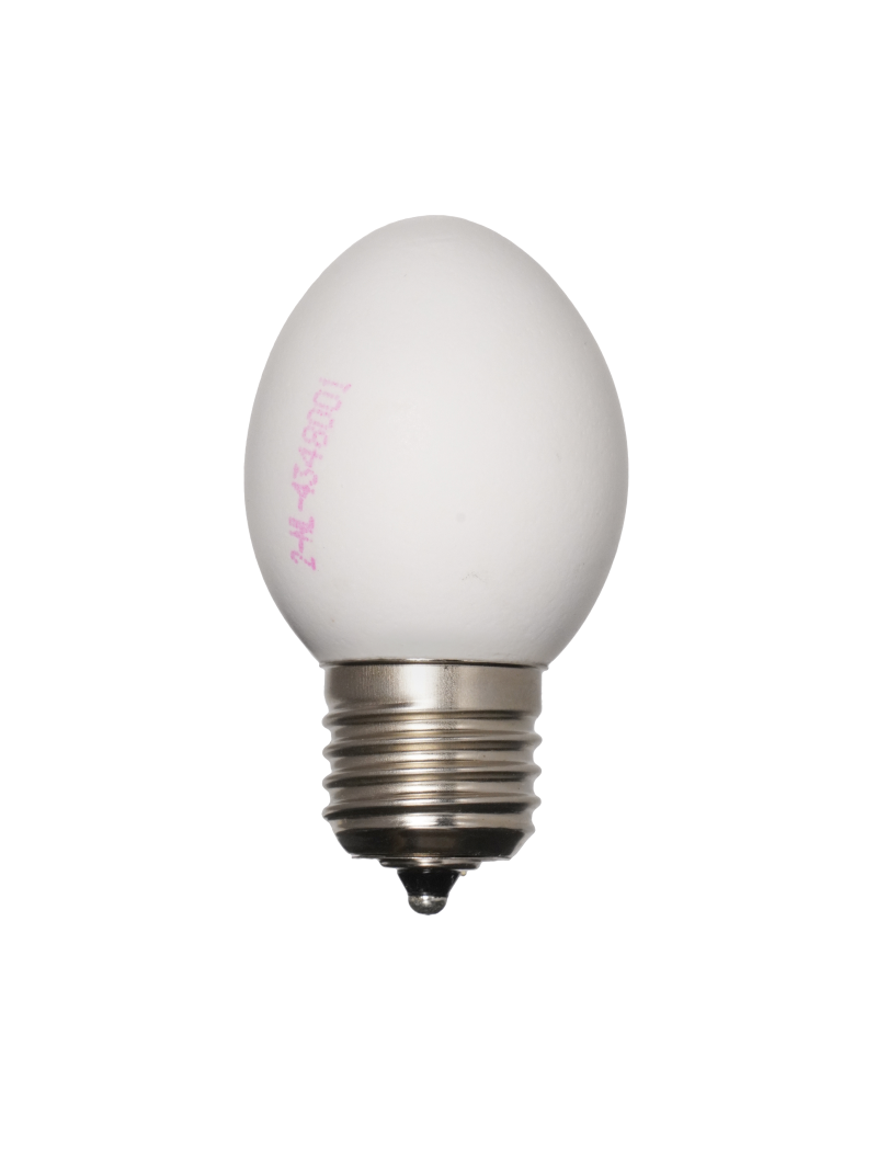 Egglamp White