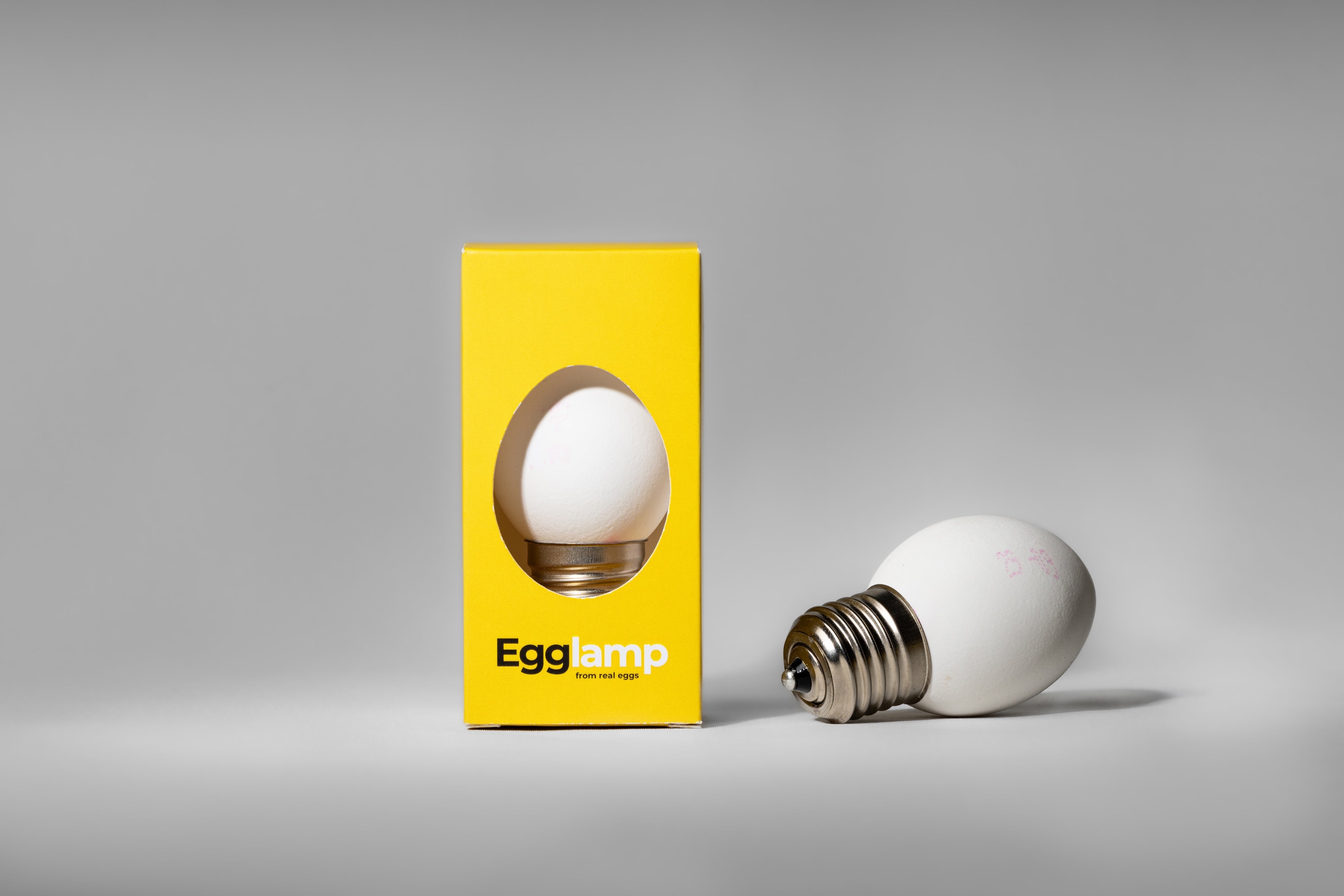 Egglamp White