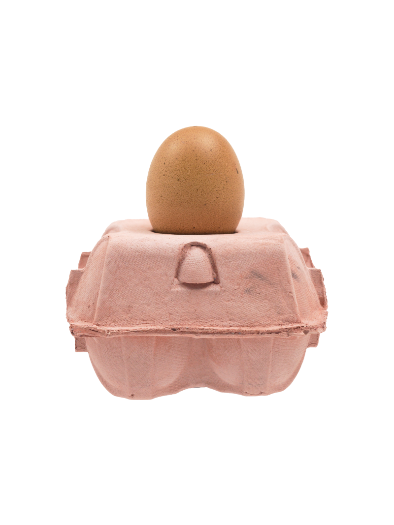 EggboxLAMP Rosé